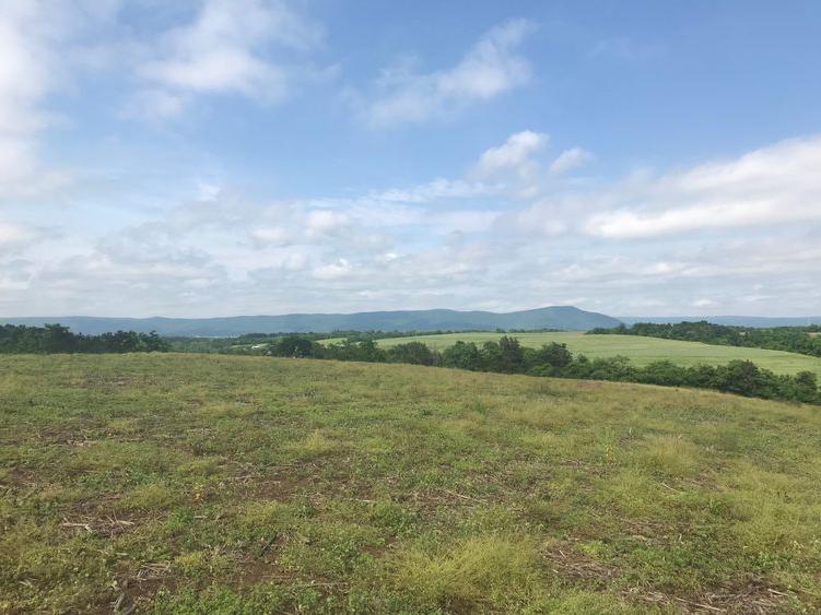 green rolling hills